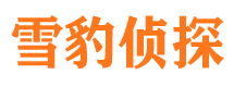 余江市场调查